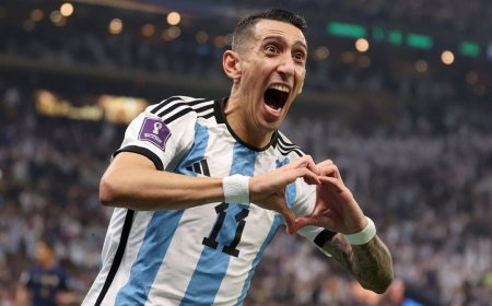 زندگی نامه آنخل دیماریا