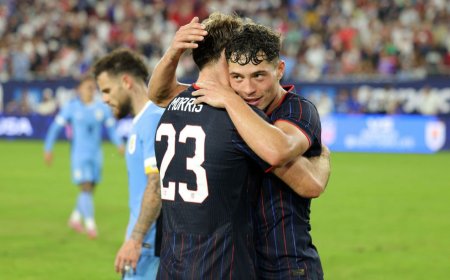 برد عقاب های سرسفید