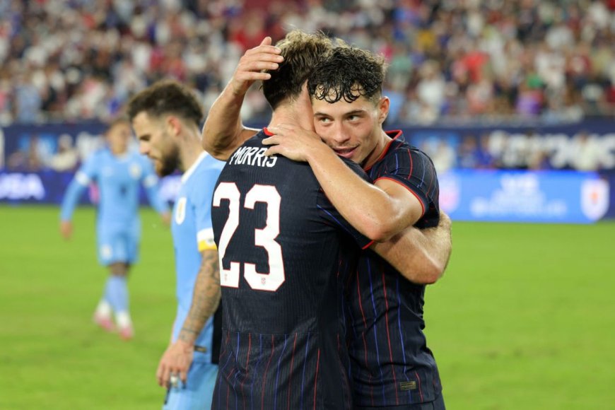 برد عقاب های سرسفید