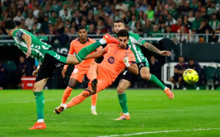 برد پر گل کاتالان‌ها