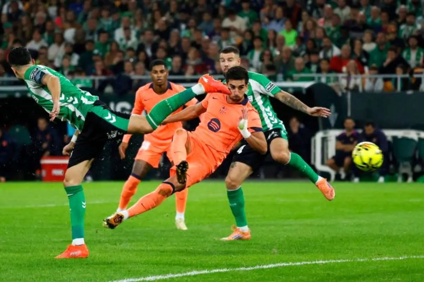 برد پر گل کاتالان‌ها